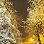 Zlocien Проживание в семье *