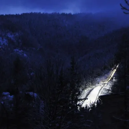 Zlocien Homestay szállás *