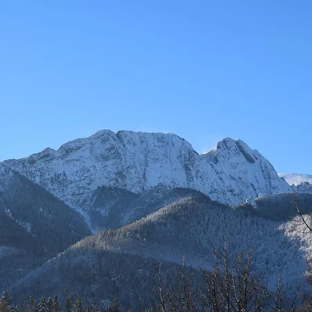 Zlocien Homestay szállás Zakopane